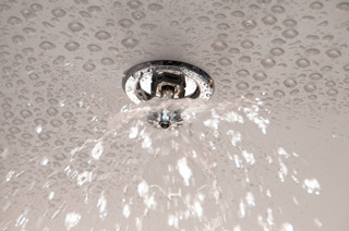 Fire sprinkler head